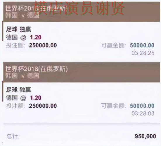 深度评测世界杯投注平台：从真实体验到使用全流程解析 - 世界杯赛事中心